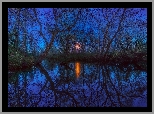 Jezioro, Drzewa, Odbicie, Księżyc, Noc