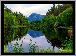 Jezioro, Trawa, Drzewa, Góry, Odbicie, Lato
