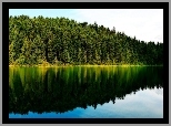 Jezioro, Lustrzane, Odbicie, Drzewa