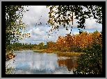 Park, Jezioro, Drzewa, Liście, Gałęzie, Chmury, Jesień