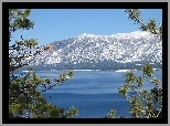 Jezioro, Drzewo, Góry, Tahoe, Kalifornia