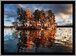 Jezioro, Wysepka, Drzewa, Vuoksa, Finlandia