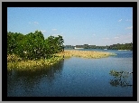 Wiosna, Jezioro, Szuwary