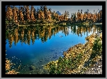Jezioro, Lago Federa, Góry, Jesień, Drzewa, Żółte, Modrzewie, Włochy