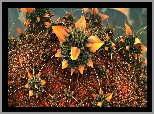 Kwiat, Kaktus, 3D