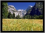 Stany Zjednoczone, Stan Kalifornia, Park Narodowy Yosemite, Góry