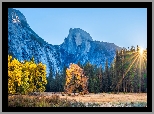 Park Narodowy Yosemite, Góry, Las, Drzewa, Jesień, Promienie słońca, Kalifornia, Stany Zjednoczone