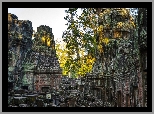 Kambodża, Angkor wat, Świątynia, Ruiny, Drzewa