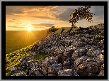 Wzgórza, Park Narodowy Yorkshire Dales, Drzewa, Kamienie, Wschód słońca, Chmury, Anglia