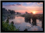 Rzeka Sherna, Drzewa, Trawa, Drewniane, Kołki, Mgła, Wschód słońca, Obwód włodzimierski, Rosja