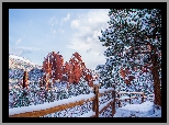 Zima, Góry, Drzewo, Sosna, Ogrodzenie, Garden of the Gods, Kolorado, Stany Zjednoczone