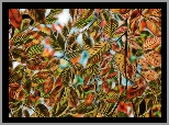 Kolorowe, Liście, Fractalius, Grafika komputerowa