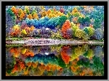 Kolorowe, Drzewa, Jezioro, Jesień