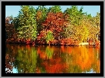 Kolorowe, Barwy, Jesieni, Drzewa, Rzeka, Odbicie