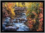 Jesień, Potok, North Cheyenne Creek, Kamienie, Most, Kolorowe, Drzewa, Krzewy, Colorado Springs, Kolorado, Stany Zjednoczone