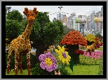 Kolorowy, Park,Klomby, Kwiaty