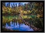 Szwajcaria, Kanton Gryzonia, Góry, Jezioro, Lake Cresta, Drzewa, Konar