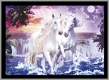 Białe, Konie, Wodospad