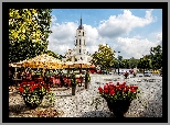 Wilno, Kościół, Restauracja, Drzewa, Kwietniki, Z Pelargoniami