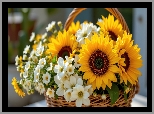 Kwiaty, Słoneczniki, Bukiet, Koszyk