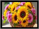 Kwiaty, Różowe, Słoneczniki, Koszyk