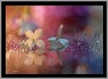 Bez, Kwiat, Bokeh