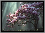 Magnolia, Krzew, Różowe, Kwiaty, Grafika AI