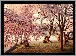 Kwitnące, Drzewa, Jeziorko, Park