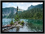 Góry, Jezioro, Mowich Lake, Drzewa, Park Narodowy Mount Rainier, Stan Waszyngton, Stany Zjednoczone
