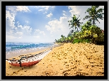 Sri Lanka, Lato, Plaża, Łódka, Palmy, Domki, Morze