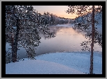 Zima, Rzeka Kymijoki, Las, Drzewa, Finlandia