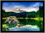 Jezioro, Las, Sosnowy