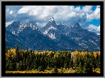 Stany Zjednoczone, Utah, Park Narodowy Grand Teton, Góry, Chmury, Las, Drzewa, Jesień