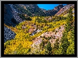 Góry, Drzewa, Lasy, Jesień, Rzeka, Wąwóz, Lundy Canyon, Kalifornia, Stany Zjednoczone
