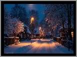 Zima, Ośnieżone, Drzewa, Latarnie, Droga, Domy, Księżyc