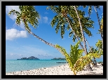 Polinezja Francuska, Bora-Bora, Plaża, Piasek, Palmy, Morze, Lato