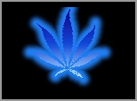 Niebieski, Liść, Marihuany