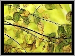 Liście, Fractalius