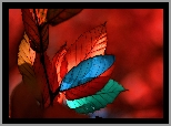 Kolorowe, Liście, Fractalius
