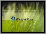 Logo, Windows, Vista, Zielona, Trawa