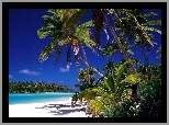 Małe, Antyle, Barbados, Morze, Plaża, Dżungla