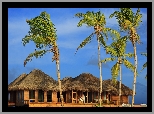 Malediwy, Hoteliki, Palmy, Morze