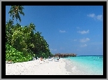 Malediwy, Fihalhohi, Palmy, Plaża, Niebo
