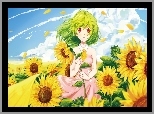 Manga Anime, Dziewczyna, Słoneczniki, Lato