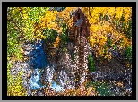 Stany Zjednoczone, Kolorado, Młyn wodny, Crystal Mill, Jesień, Drzewa, Skały, Rzeka