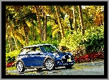 Mini, Cooper F56, Droga, Palmy