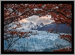 Lodowiec, Perito Moreno, Góry, Drzewo, Park Narodowy Los Glaciares, Patagonia, Argentyna