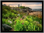Morze, Wybrzeże, Latarnia morska, Nubble Lighthouse, Skały, Rośliny, Cape Neddick, Maine, Stany Zjednoczone