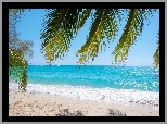 Palmy, Liście, Plaża, Morze