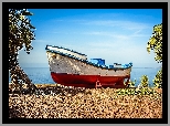 Morze, Plaża, Palmy, Łódz
